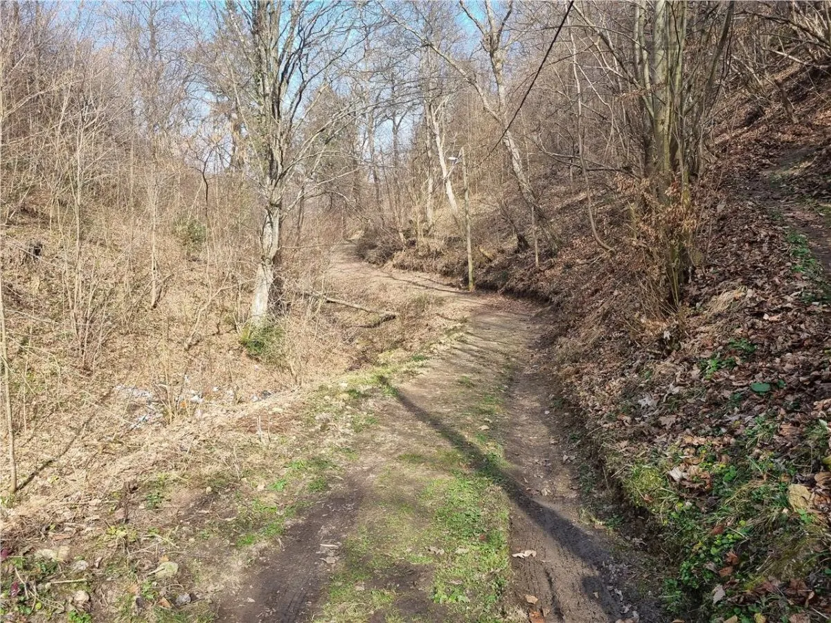 Teren arabil intravilan , priveliste mirifica , zona Schei - foto 8