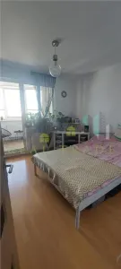 Apartament 3 camere decomandat ziona Grivitei, - foto 8