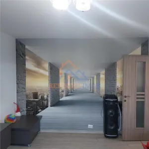 Apartament 2 camere de vanzare Rahova - Parc Pecineaga - foto 10