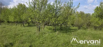 Teren de vanzare in Campina - Campina