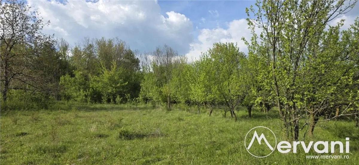 Teren de vanzare in Campina - foto 2