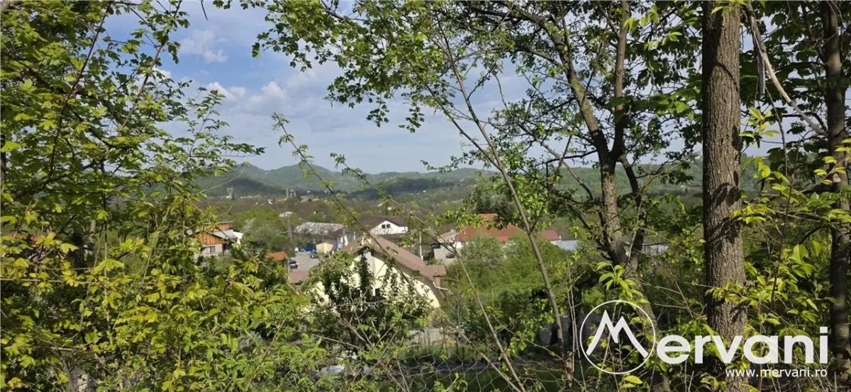 Teren de vanzare in Campina - foto 5