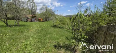 Teren cu Casuta de lemn in Sotrile (langă Valea Doftanei) - Sotrile