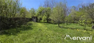 Teren cu Casuta de lemn in Sotrile (langă Valea Doftanei) - foto 12