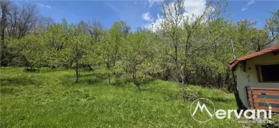 Teren cu Casuta de lemn in Sotrile (langă Valea Doftanei) - foto 13