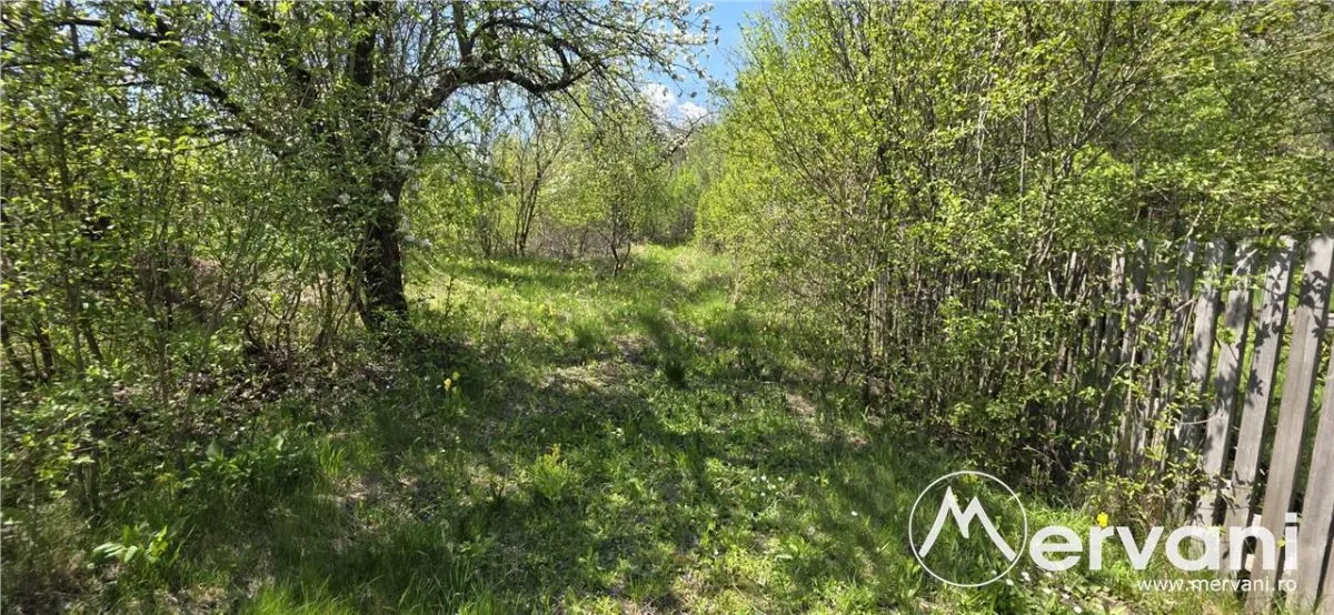 Teren cu Casuta de lemn in Sotrile (langă Valea Doftanei) - foto 14