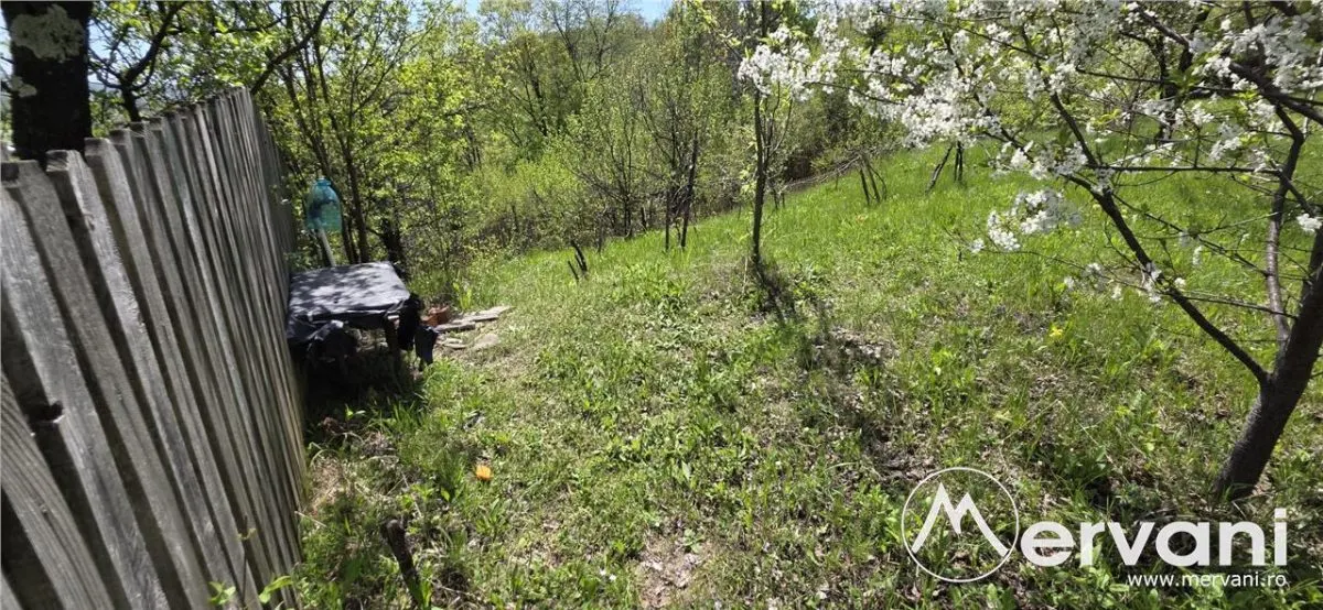 Teren cu Casuta de lemn in Sotrile (langă Valea Doftanei) - foto 15