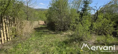 Teren cu Casuta de lemn in Sotrile (langă Valea Doftanei) - foto 17