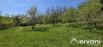 Teren cu Casuta de lemn in Sotrile (langă Valea Doftanei) - foto 9