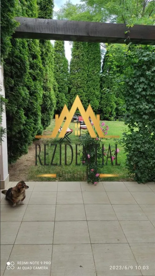 CASA CU ETAJ - LEBADA - foto 9