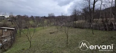 Teren intravilan 800 mp de vanzare in Lunca Mare - foto 2