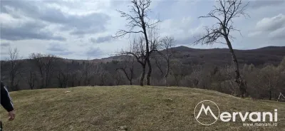 Teren intravilan 2200 mp de vanzare in Valea Doftanei - foto 3