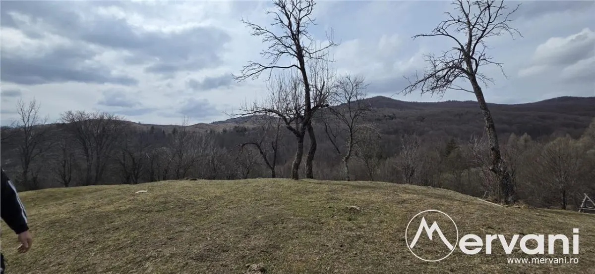 Teren intravilan 2200 mp de vanzare in Valea Doftanei - foto 3