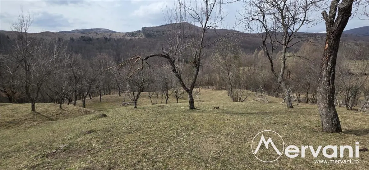 Teren intravilan 2200 mp de vanzare in Valea Doftanei - foto 4