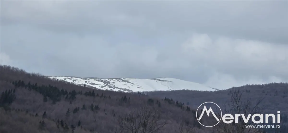 Teren intravilan 2200 mp de vanzare in Valea Doftanei - foto 7