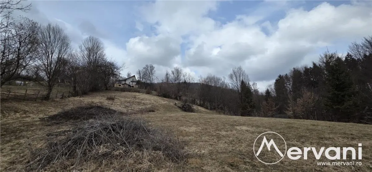 Teren intravilan de vanzare in Valea Doftanei - foto 4