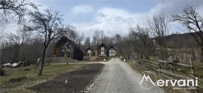 Teren intravilan de vanzare in Valea Doftanei - foto 9