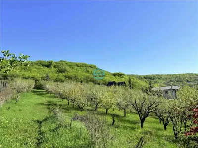 Vand teren intravilan, 2566 mp in Corunca situat intr-o zona linistita si intima - Corunca