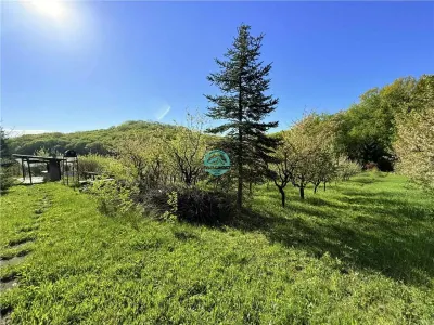 Vand teren intravilan, 2566 mp in Corunca situat intr-o zona linistita si intima - foto 2