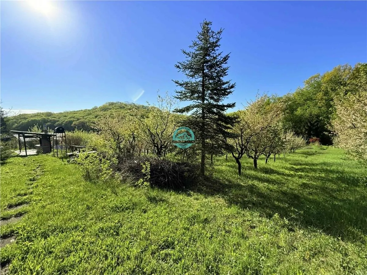 Vand teren intravilan, 2566 mp in Corunca situat intr-o zona linistita si intima - foto 2