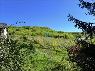 Vand teren intravilan, 2566 mp in Corunca situat intr-o zona linistita si intima - foto 11
