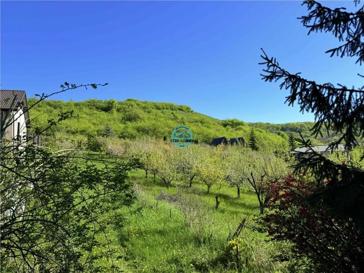 Vand teren intravilan, 2566 mp in Corunca situat intr-o zona linistita si intima - foto 11