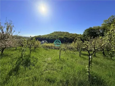 Vand teren intravilan, 2566 mp in Corunca situat intr-o zona linistita si intima - foto 10