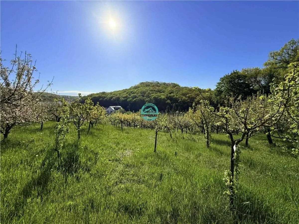 Vand teren intravilan, 2566 mp in Corunca situat intr-o zona linistita si intima - foto 10