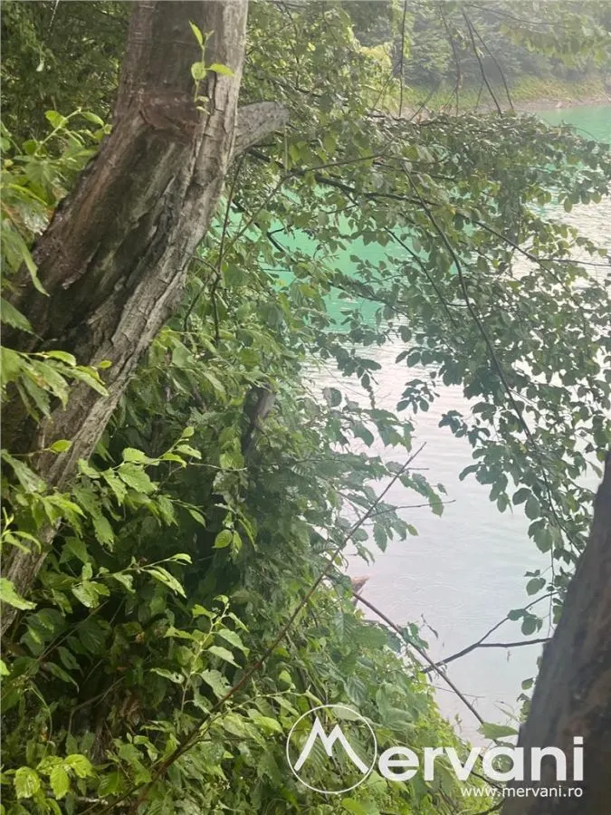 Teren cu deschidere la lac – Valea Doftanei, Prahova - foto 6