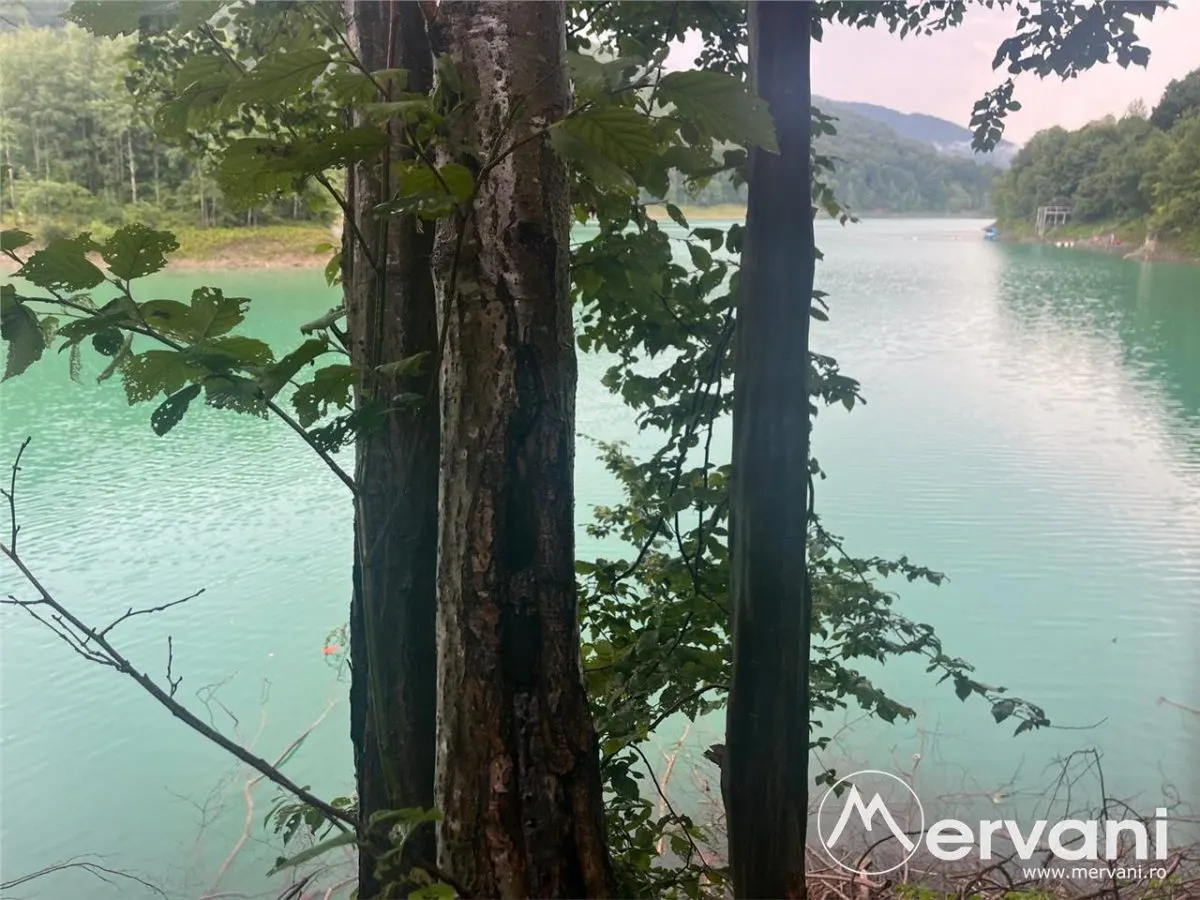 Teren cu deschidere la lac – Valea Doftanei, Prahova - foto 9