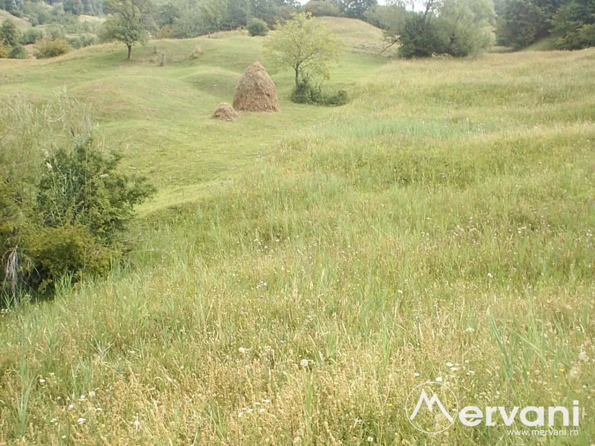 Teren extravilan de vanzare in Telega - foto 1