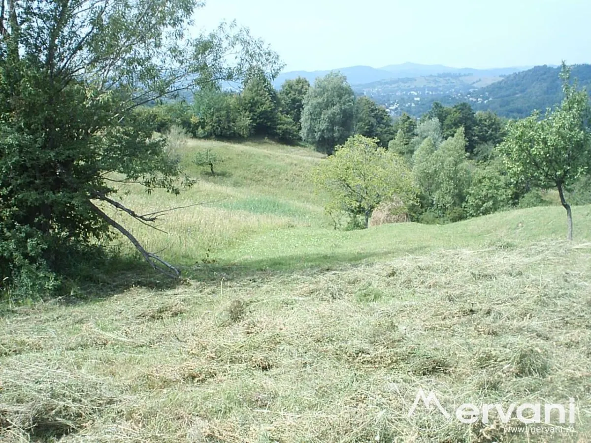 Teren extravilan de vanzare in Telega - foto 2