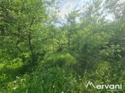 Vila de vanzare cu 6 camere in Cornu (teren 6.600 mp) - foto 50
