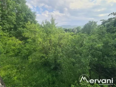 Vila de vanzare cu 6 camere in Cornu (teren 6.600 mp) - foto 10