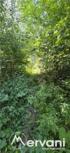 Teren intravilan de vanzare in Lunca Mare (la 10 km de Valea Doftanei) - foto 9