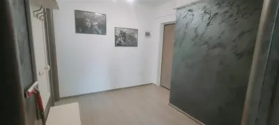 2 CAM TATARASI MOBILAT LUX INTABULAT MUTAREA IMEDIATA - foto 7