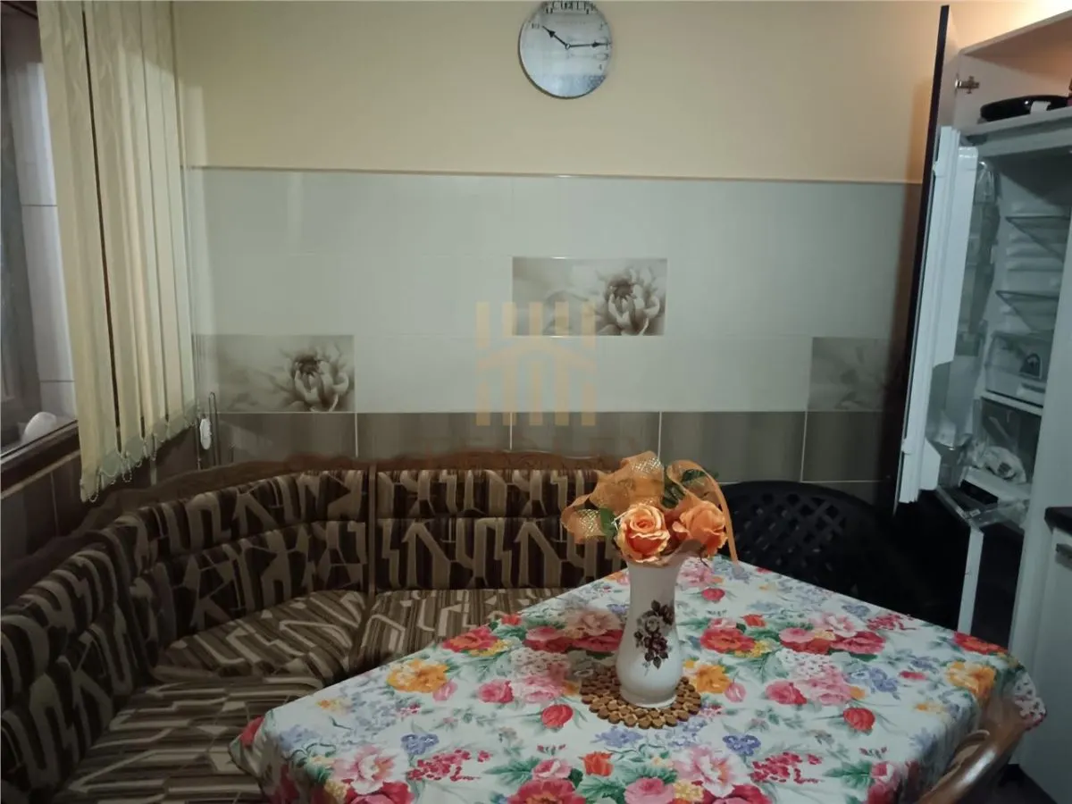 DE VANZARE VILA CARTIER DEAL BARLAD SUPERBA - foto 17