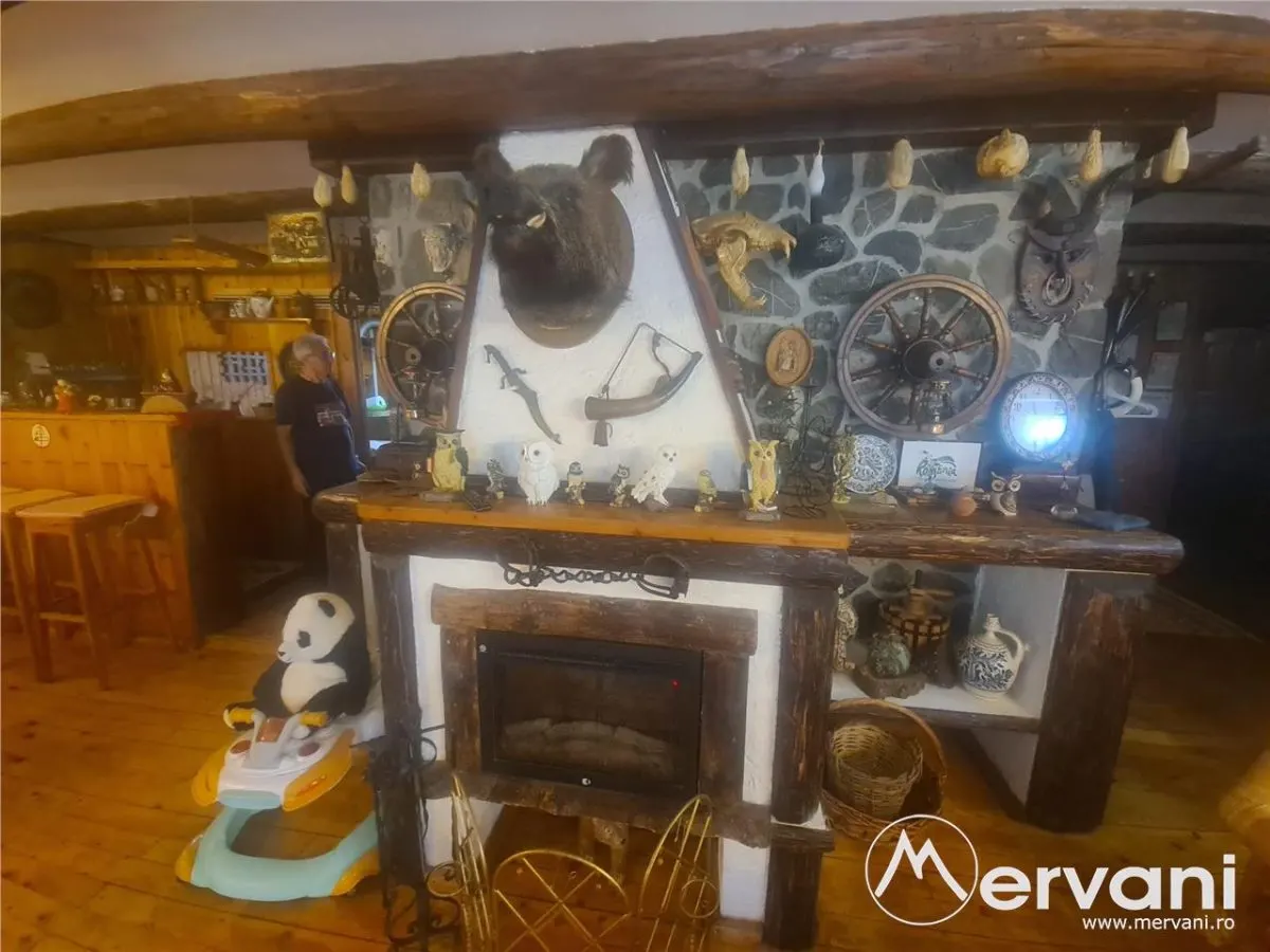 Vila de vacanta de vanzare in Busteni - Zona Zamora - foto 17