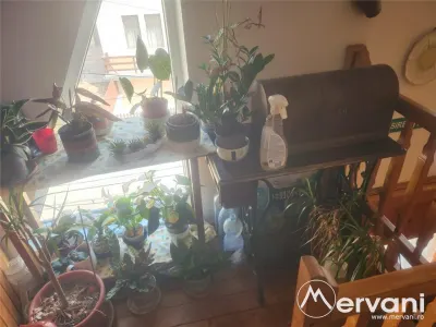 Vila de vacanta de vanzare in Busteni - Zona Zamora - foto 42