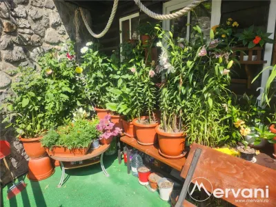 Vila de vacanta de vanzare in Busteni - Zona Zamora - foto 47