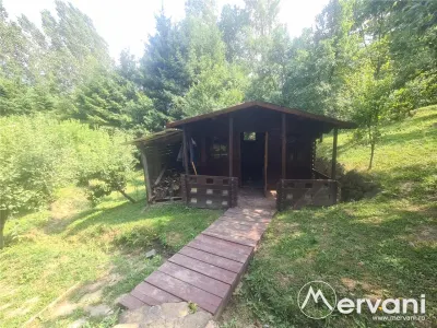 Vila de vanzare in Campina - Zona Lunca Mare - foto 46