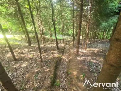 Vila de vanzare in Campina - Zona Lunca Mare - foto 47