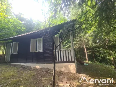Vila de vanzare in Campina - Zona Lunca Mare - foto 76