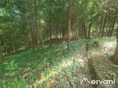 Vila de vanzare in Campina - Zona Lunca Mare - foto 77