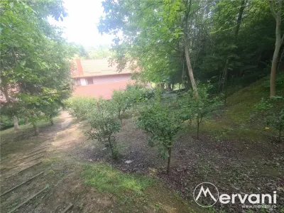 Vila de vanzare in Campina - Zona Lunca Mare - foto 78