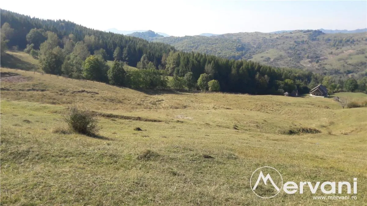 Teren intravilan de vanzare in Breaza (dezvolatre imobiliara) - foto 2