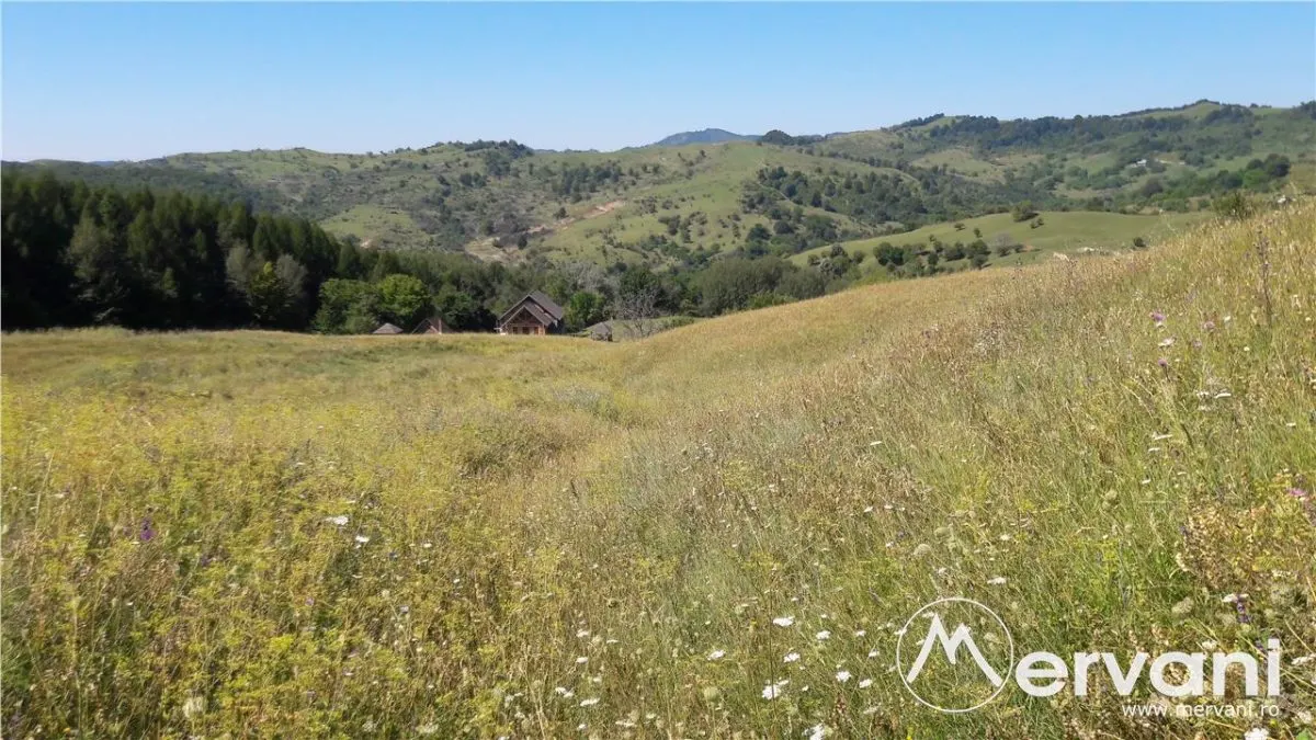 Teren intravilan de vanzare in Breaza (dezvolatre imobiliara) - foto 3