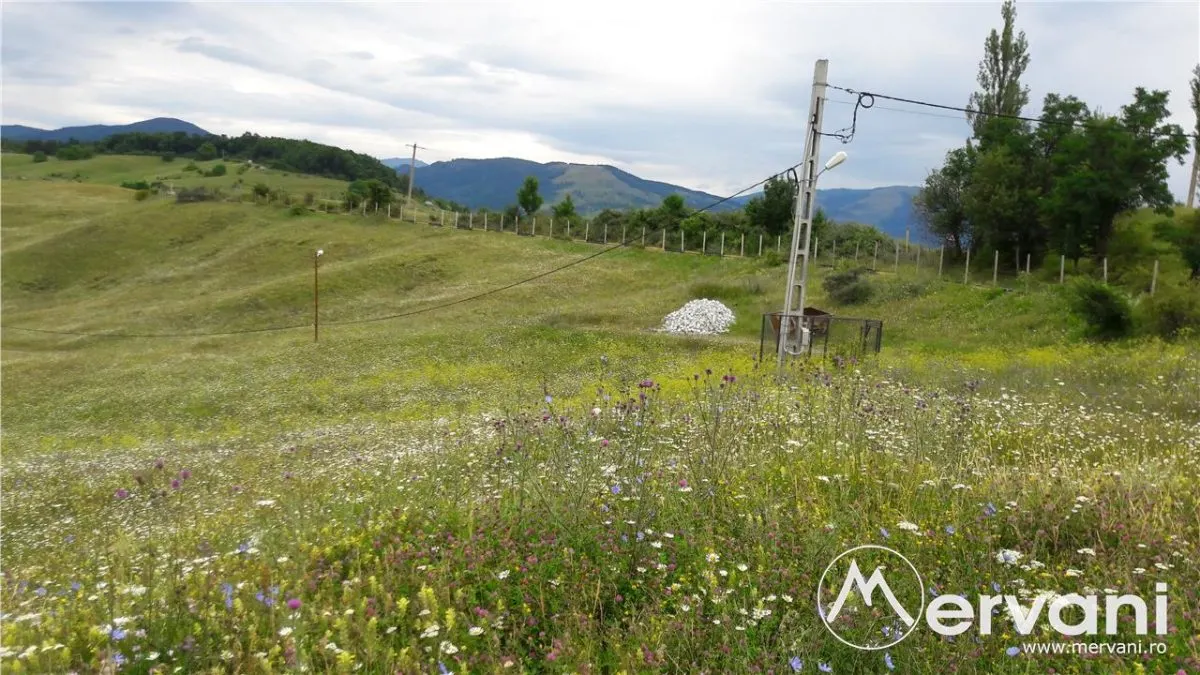 Teren intravilan de vanzare in Breaza (dezvolatre imobiliara) - foto 4