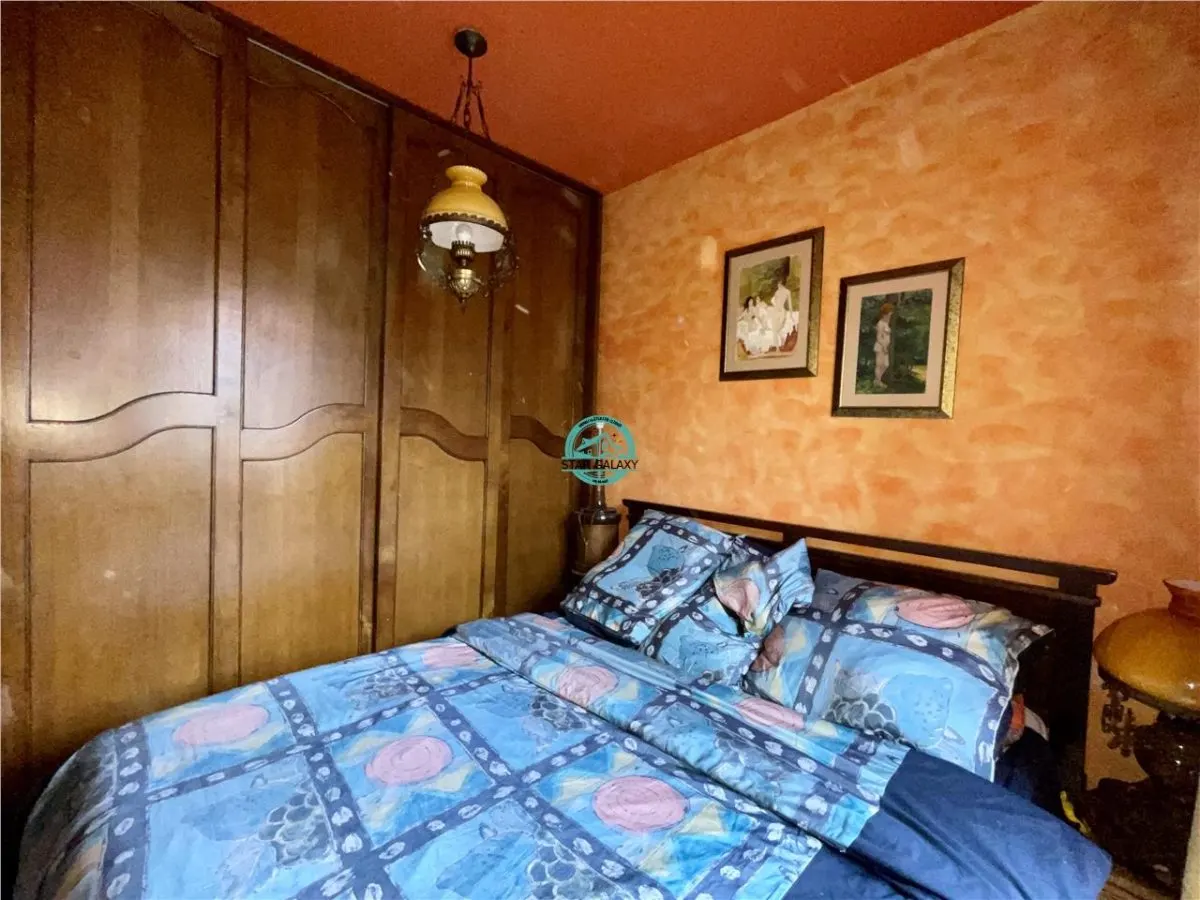 Apartament cu 2 camere de vanzare, in Centru str. Bolyai - foto 6