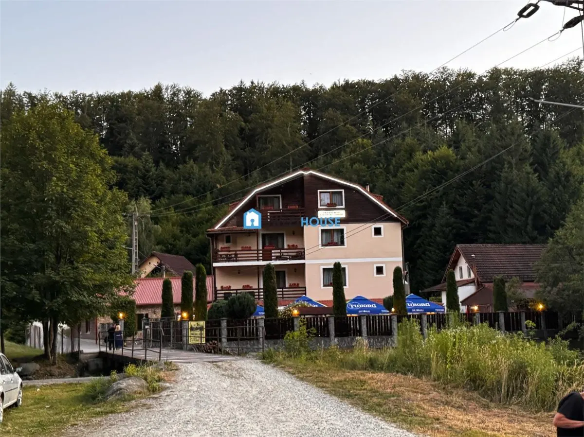 Oportunitate de investitie Cabana Cartisoara Zona Turistica - foto 25